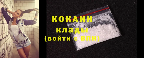 apvp Белокуриха