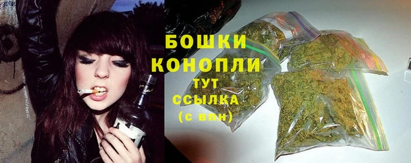 mdpv Богородицк