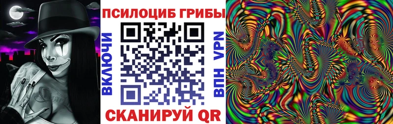 Псилоцибиновые грибы мицелий Сланцы