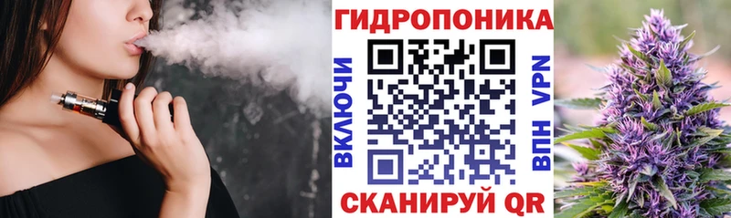 blacksprut Сланцы Марихуана сатива